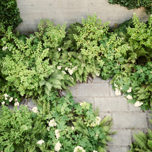 bild von pflanzen. visuelle identität elemente einer marke